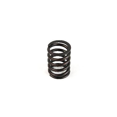Valve Spring