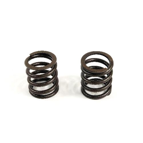 Valve Spring