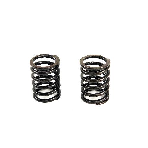 Valve Spring