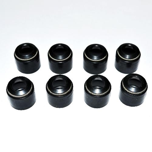 Valve Seal