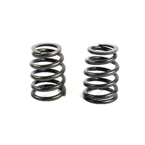 Valve Spring
