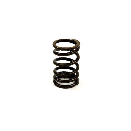Valve Spring