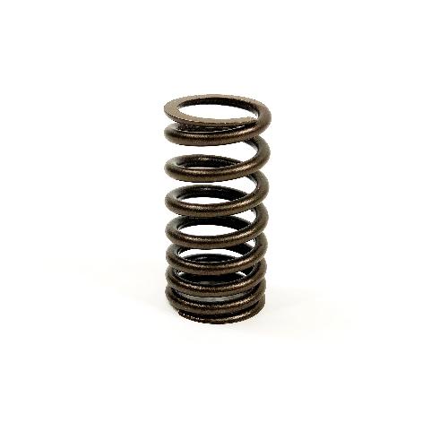 Valve Spring