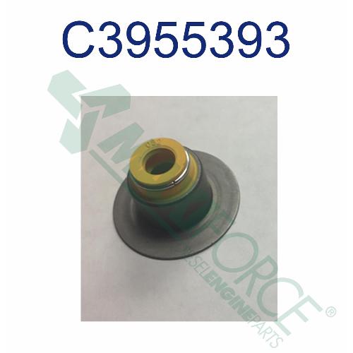 Valve Stem Seal