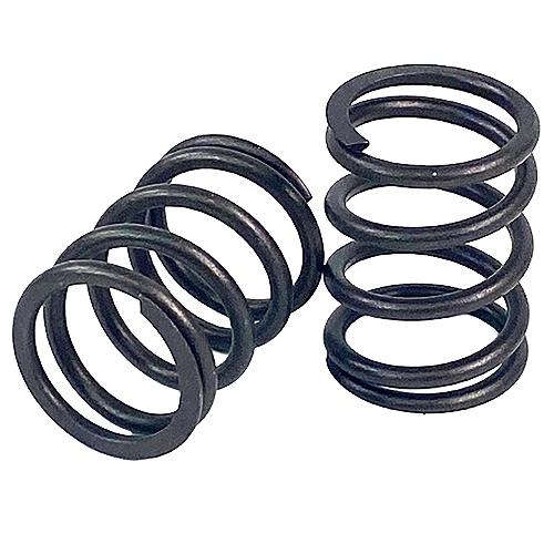 Valve Spring