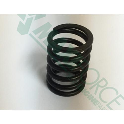 Valve Spring