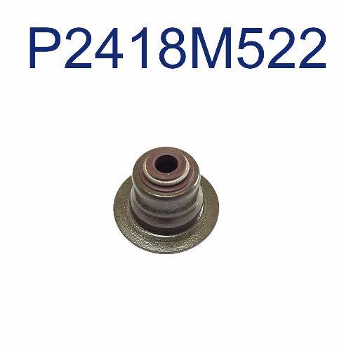 Valve Stem Seal