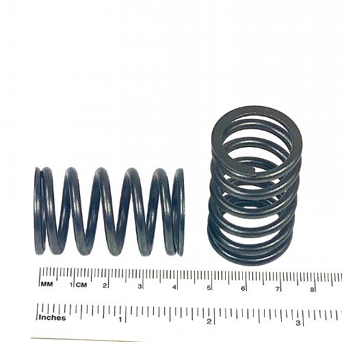 Valve Spring