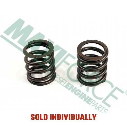 Valve Spring