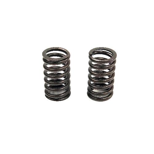 Valve Spring
