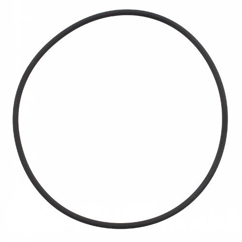 Liner Sealing Ring, 2 used per cylinder