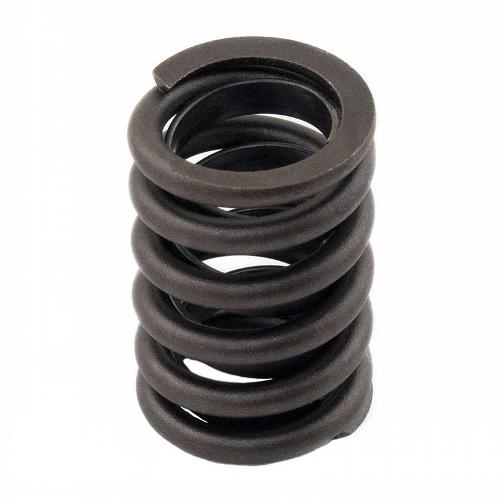 Valve Spring