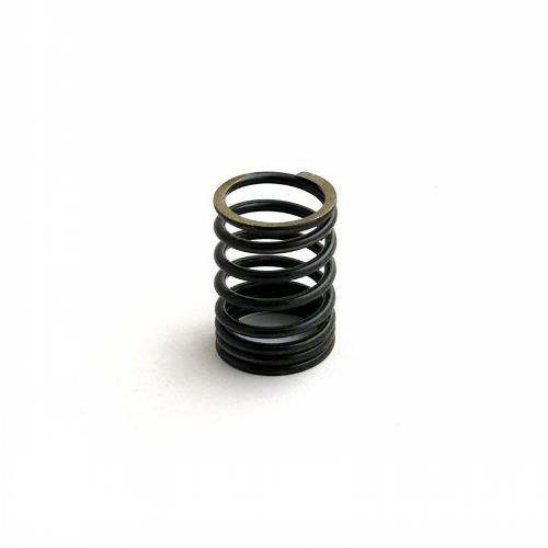 Valve Spring