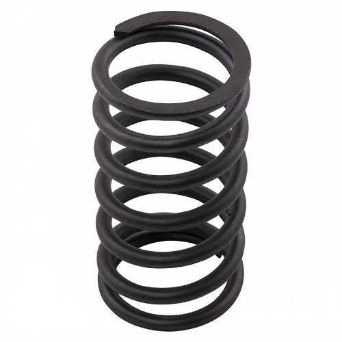 Valve Spring