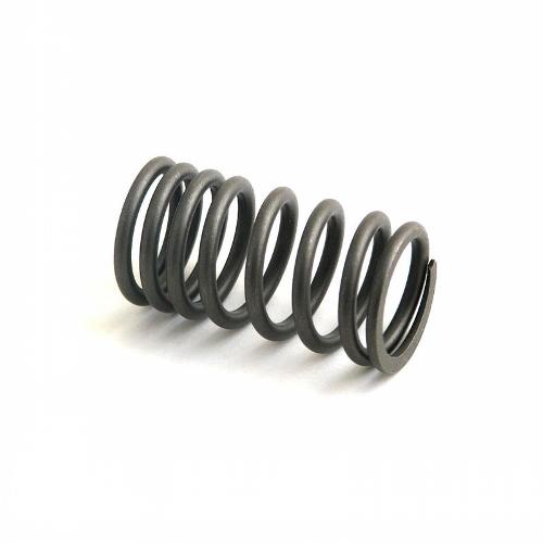 Valve Spring