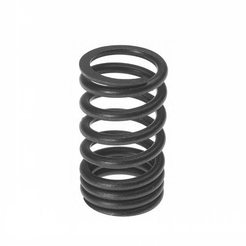 Valve Spring