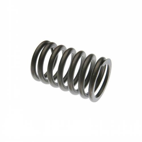 Valve Spring