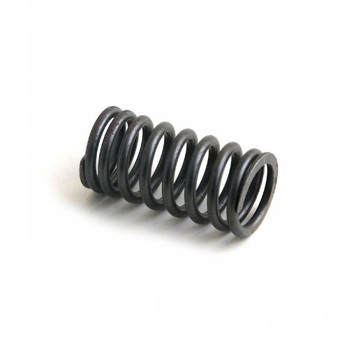 Valve Spring