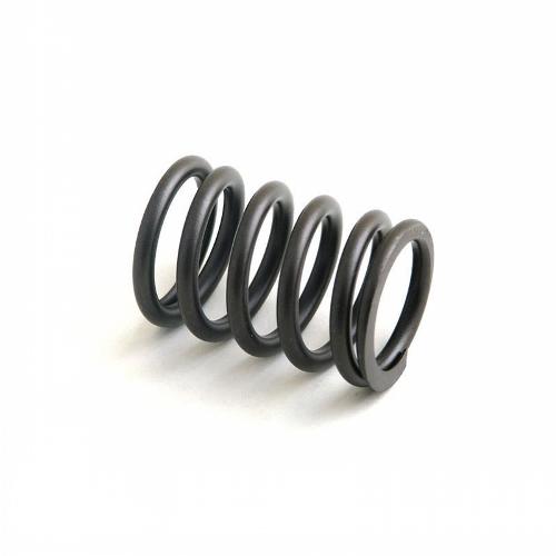 Valve Spring