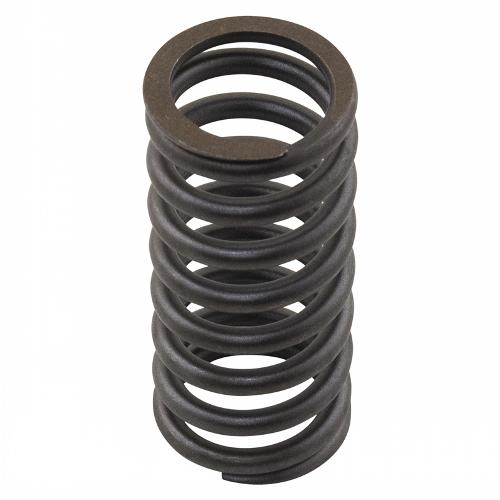Valve Spring