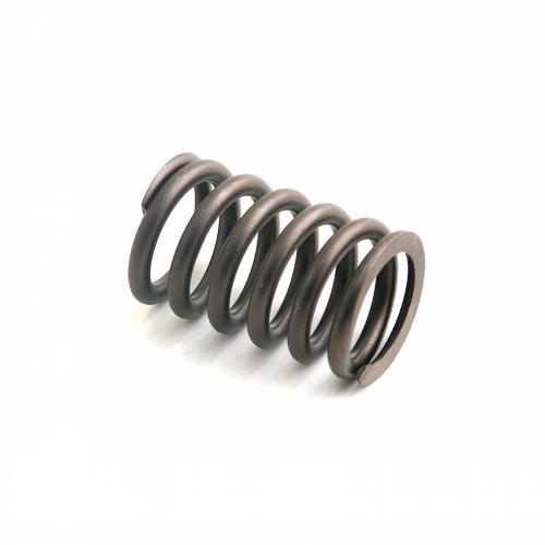 Valve Spring