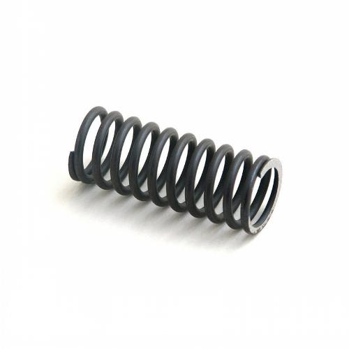 Valve Spring