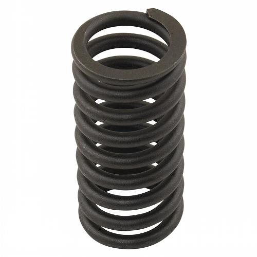 Valve Spring