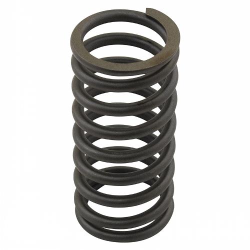 Valve Spring