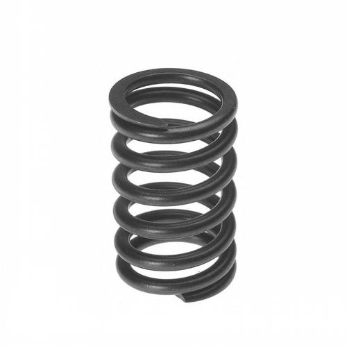 Valve Spring