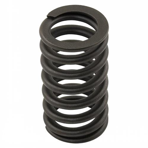 Valve Spring