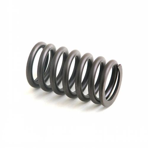 Valve Spring