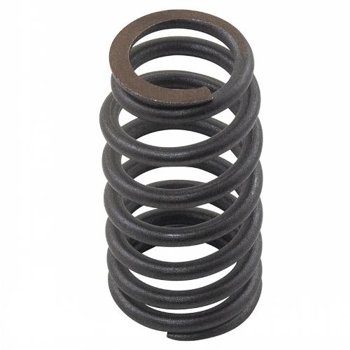 Valve Spring, Set of 2