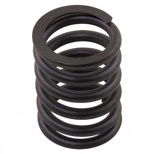 Valve Spring