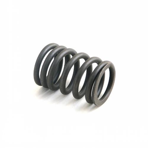 Valve Spring