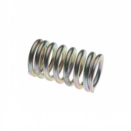 Valve Spring