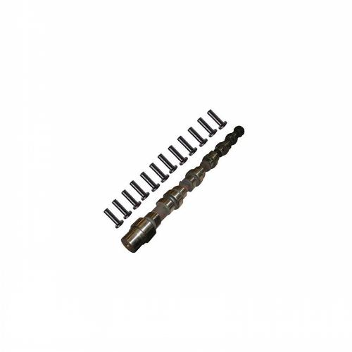 Camshaft & Lifter Kit
