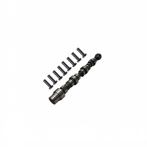 Camshaft & Lifter Kit