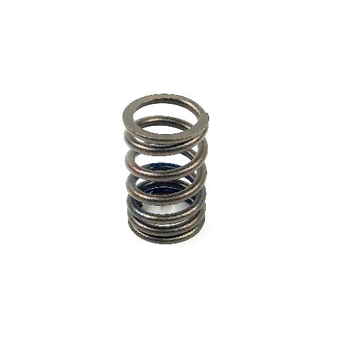 Valve Spring