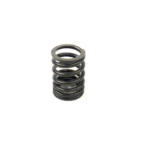 Valve Spring