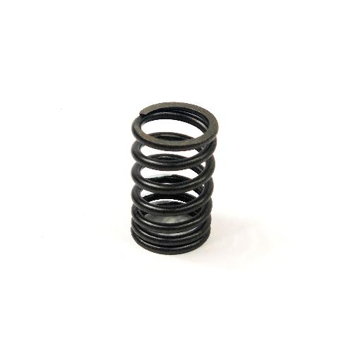 Valve Spring