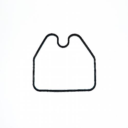 Thermostat Seal