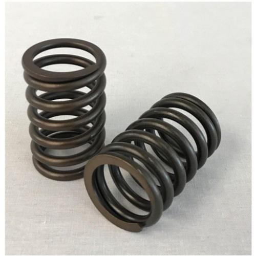 Valve Spring