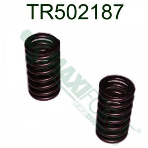 Valve Spring