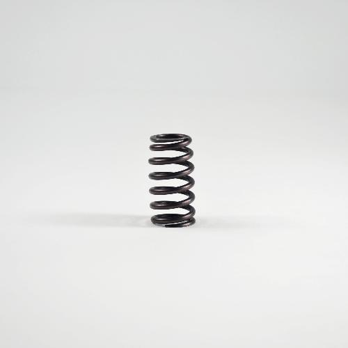 Valve Spring
