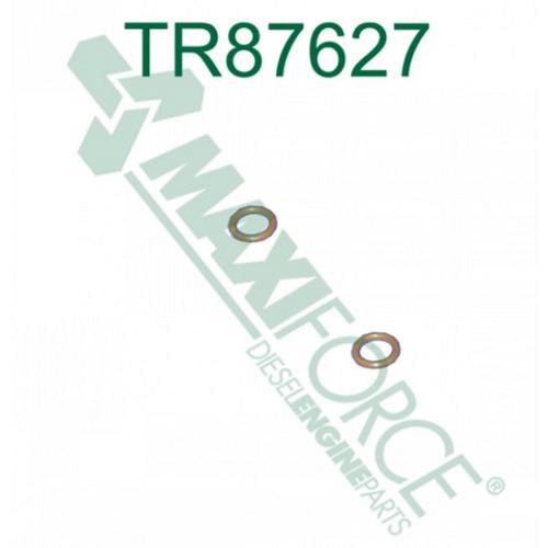 Valve Seal