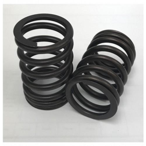 Valve Spring