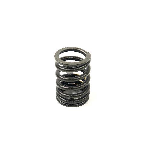 Valve Spring