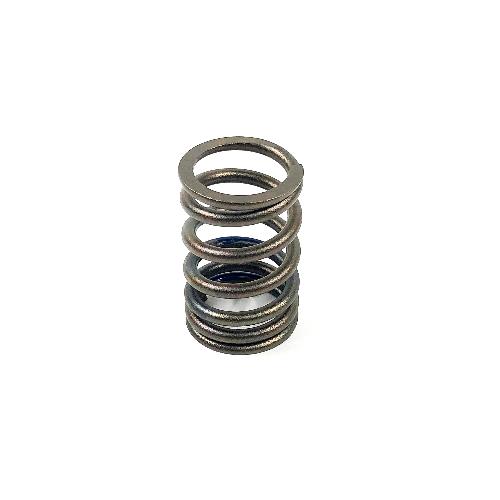 Valve Spring