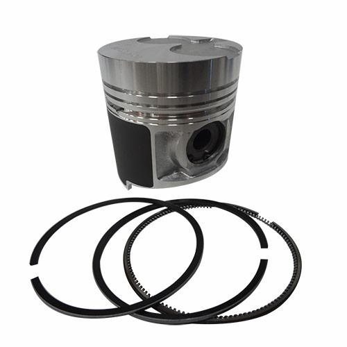 Piston & Rings