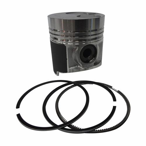 Piston & Rings